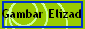 Gambar Elizad