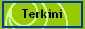 Terkini
